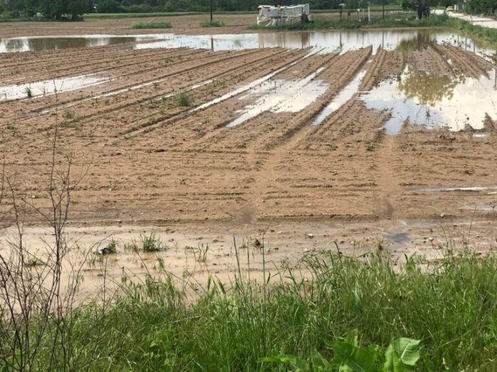 Daniel: Το 40% του νομού Λάρισας δεν έχει πληρωθεί